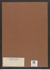 Diatomeae indet. (de-Toni-Nr.: Species 2095 ?) Zeichnungen Sammlung Grunow Mappe 02381 (Herbarium_W_Grunow_drawings_Folder_02381)